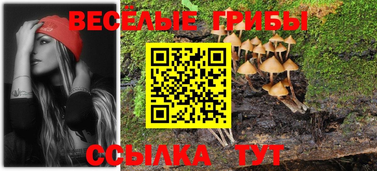 Псилоцибиновые грибы мухоморы Нижнекамск